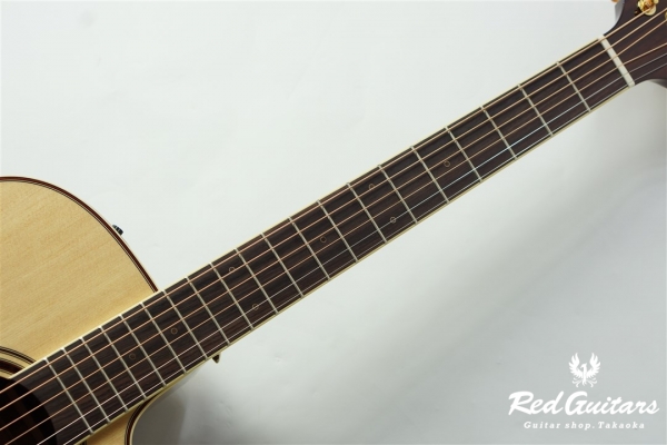 P4DC - Natural Gloss